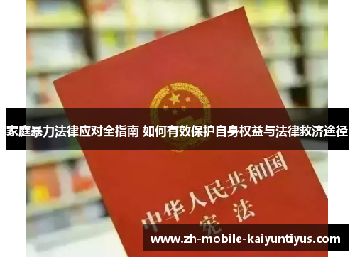 家庭暴力法律应对全指南 如何有效保护自身权益与法律救济途径