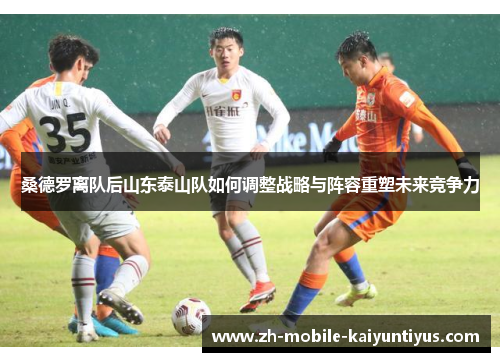 桑德罗离队后山东泰山队如何调整战略与阵容重塑未来竞争力