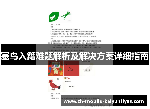 塞鸟入籍难题解析及解决方案详细指南