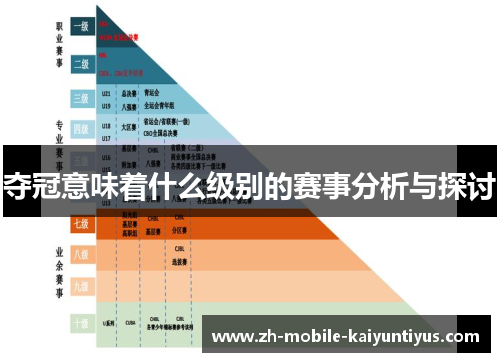 夺冠意味着什么级别的赛事分析与探讨