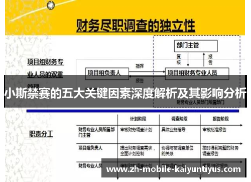 小斯禁赛的五大关键因素深度解析及其影响分析