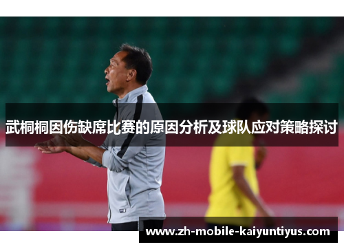 武桐桐因伤缺席比赛的原因分析及球队应对策略探讨