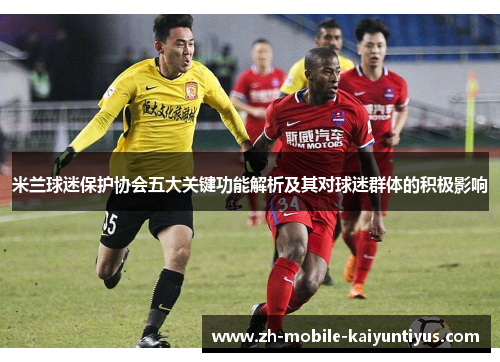 米兰球迷保护协会五大关键功能解析及其对球迷群体的积极影响