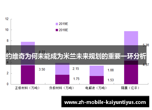 约维奇为何未能成为米兰未来规划的重要一环分析