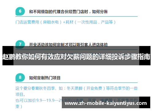 赵鹏教你如何有效应对欠薪问题的详细投诉步骤指南