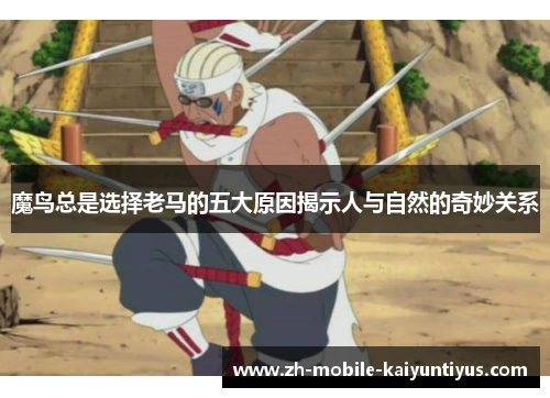 魔鸟总是选择老马的五大原因揭示人与自然的奇妙关系