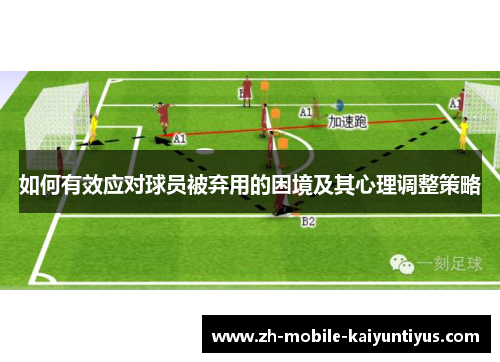 如何有效应对球员被弃用的困境及其心理调整策略